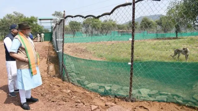 పార్కులో నరేంద్రమోదీ