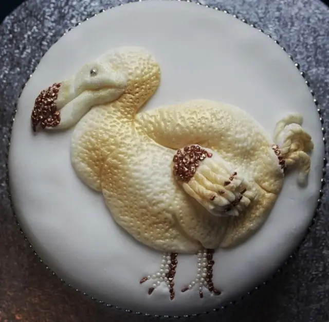 ኬክ ዶዶ ዑፍ ብዶክተር ናታሊ ሎረንስ