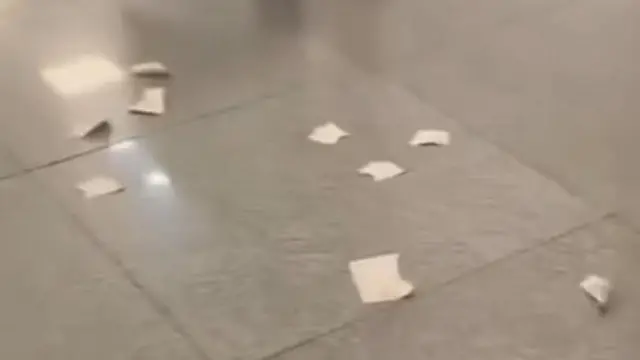 Hoton fasfo ɗin da matar ta yayyaga