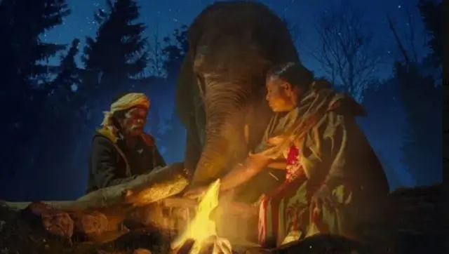 யானை பராமரிப்பு தம்பதி பொம்மன் பெள்ளி