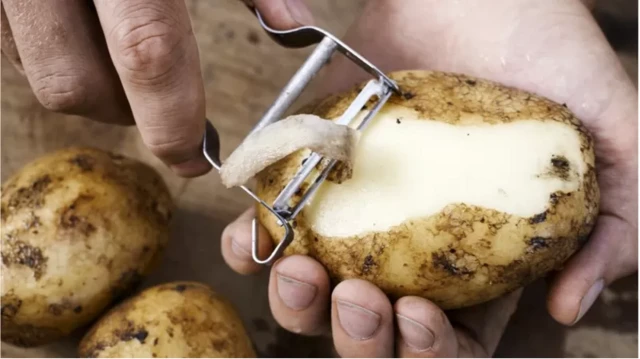 پھل، سبزیاں