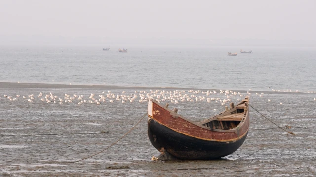 नाफ़ नदी 