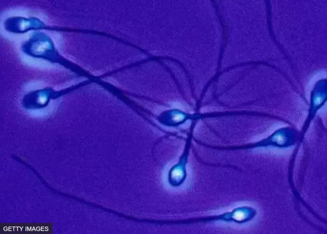 Dhangala'aan sanyii dhiiraa walitti fufiinsaan oomishama