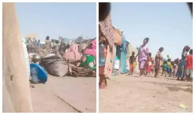 ኣብ መዳጐኒ ዓፋር ዝርከቡ ተጋሩ