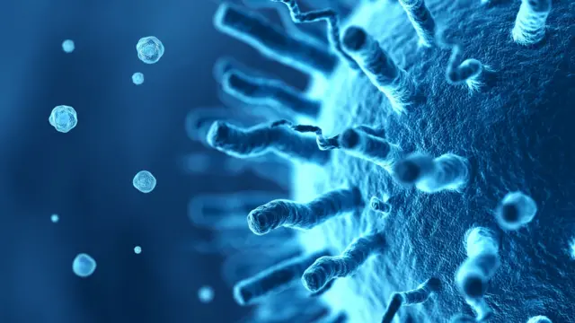 બીબીસી ગુજરાતી, ગુજરાત, બીબીસી, અમદાવાદ,