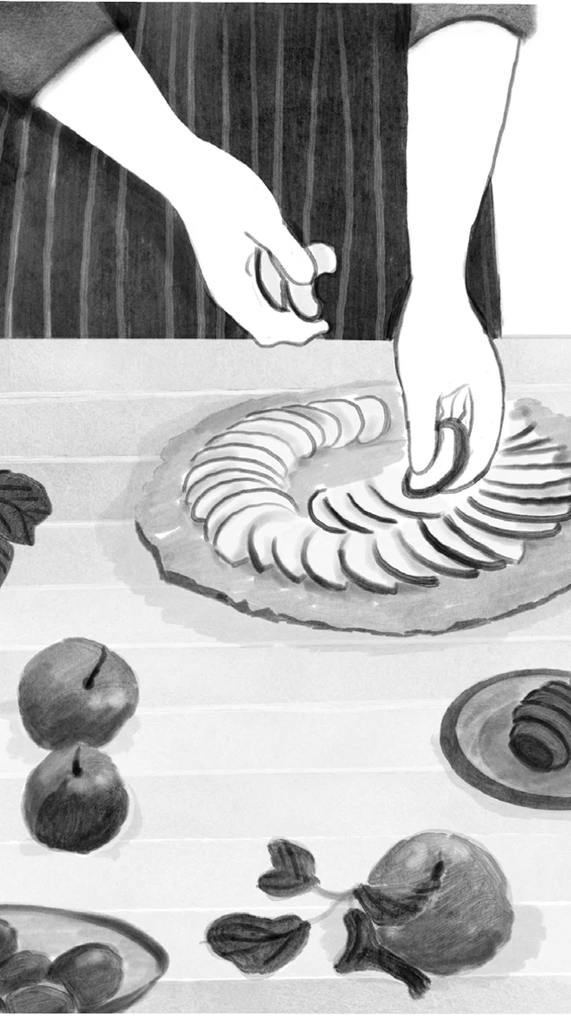 یکی از تصاویر کتاب احضار دوال‌پای رسوایی با بوی پای‌سیب، نوشته سپیده قلیان