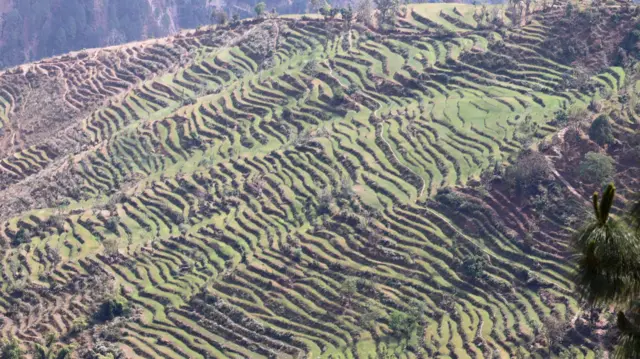 कृषियोग्य जमिन