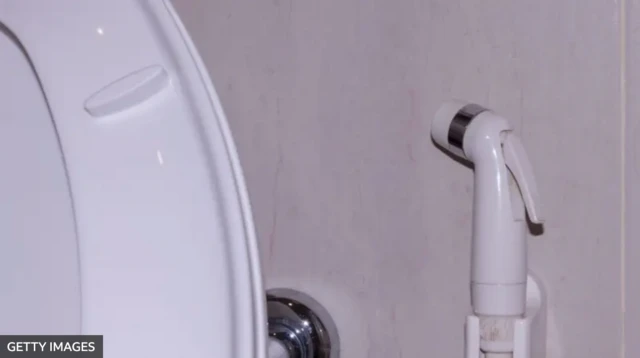 Bir çox ölkədə tualet duşları geniş yayılıb.