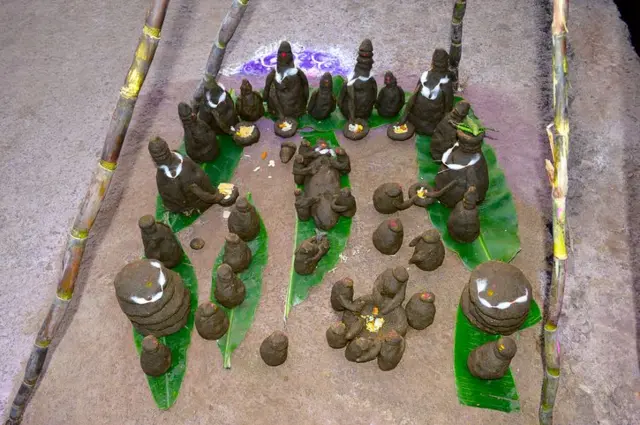 नव्याने घरात आलेल्या या धान्याधुन्याची आणि ते ज्यांच्यामुळे आलं, त्या गुरांबद्दल कृतज्ञता व्यक्त करण्यासाठी म्हणून दिवाळी हा सण साजरा केला जातो, असं मुकुंद कुळे सांगतात.