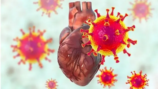 గుండె జబ్బులు