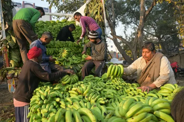 કેળાં, ફળો, ખેતી, ગુજરાત, ખેડૂત, બીબીસી ગુજરાતી