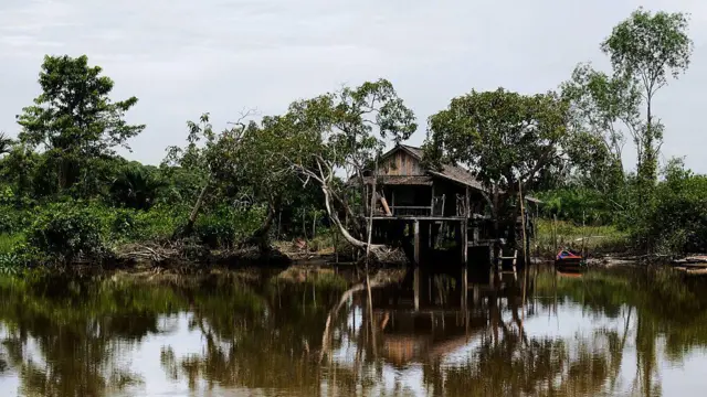 Sungai Kapuas, gas rawa