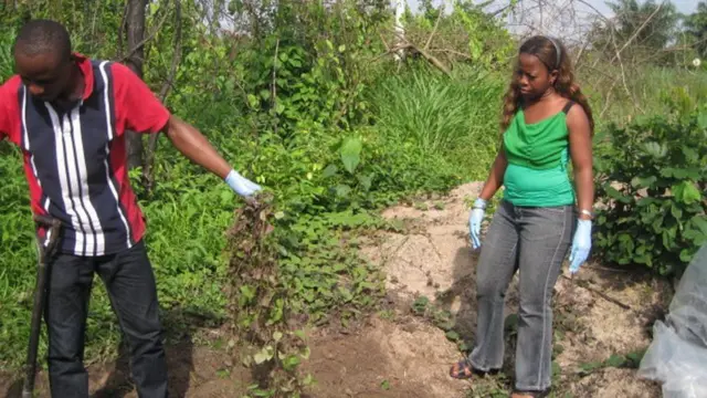 Eucharia don develope techniques wey dey remove pollutants from di soil using plants