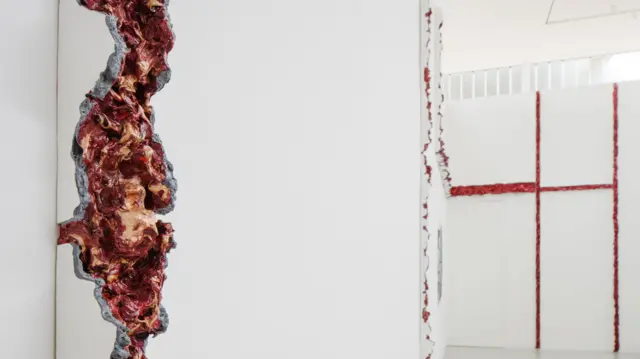 Uma instalação artística ocupa paredes brancas com rasgos verticais preenchidos por formas avermelhadas e orgânicas que lembram carne exposta.