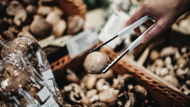 పుట్టగొడుగులు, విచిత్ర భ్రమలు, మరగుజ్జు మనుషులు, ఆహారం, పరిశోధనలు