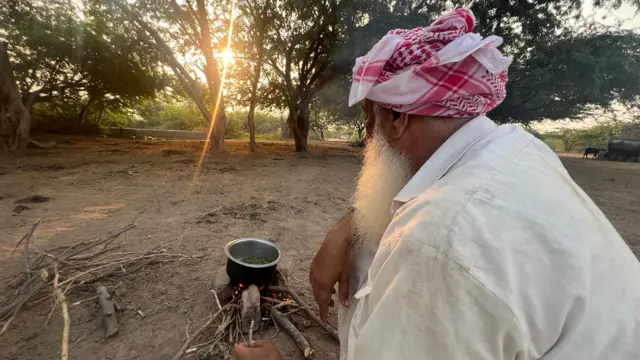 પશુઓ માટે ઔષધિ 