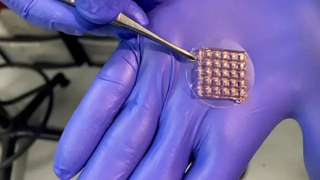 ஸ்டெம் செல் தொகுப்பு எந்த வடிவத்திலும் பயோ-பிரின்ட் செய்யப்படலாம்