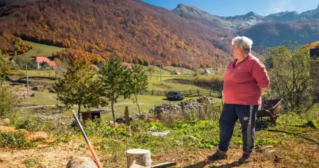 జిస్టినా