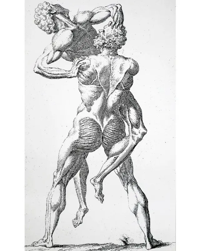 Anatomski crtež dve figure bez kože koje se rvaju iz 1741. godine podseća na skulpturu Herkula i Anteja iz 16. veka