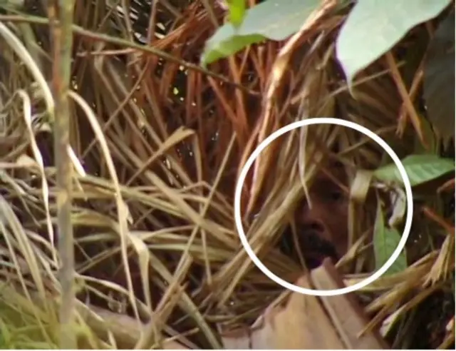 Le visage de l'homme a été brièvement filmé par l'anthropologue Vincent Carelli.
