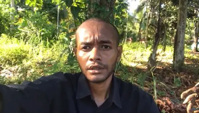 papua, lingkungan, hutan