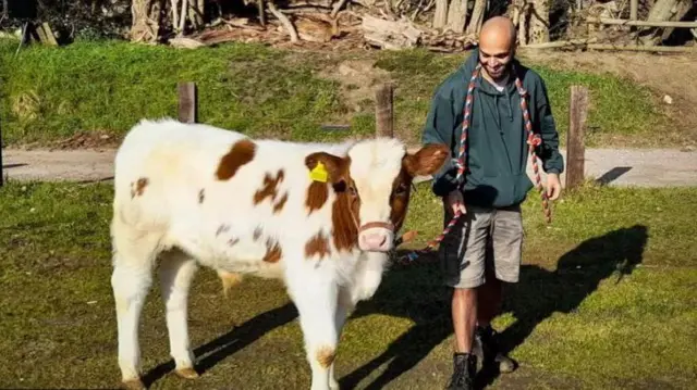 नवीन गोकुळ फार्म