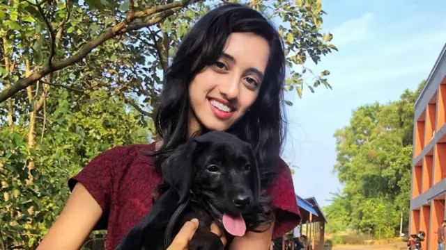 நாய்கள், நாய்க்கடி, செல்லப்பிராணிகள்