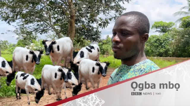 Onye na-akpa ehi Igbo