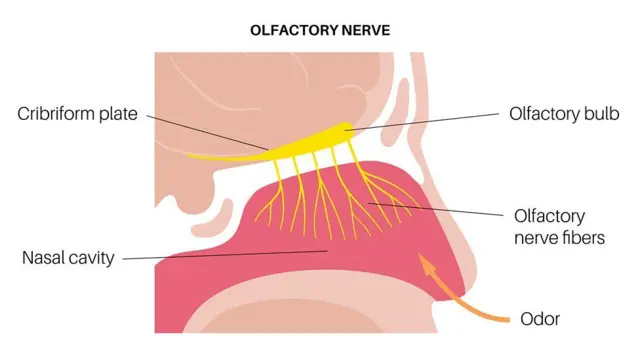 ఆరోగ్యం