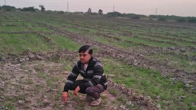 માનપર ગામના ખેડૂત સંજયભાઈ પટેલ