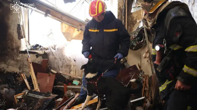 Спасатели с собакой ищут людей под завалами