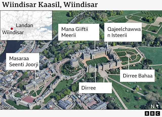 Kaartaa Masaraa Wiinsor agarsiisu