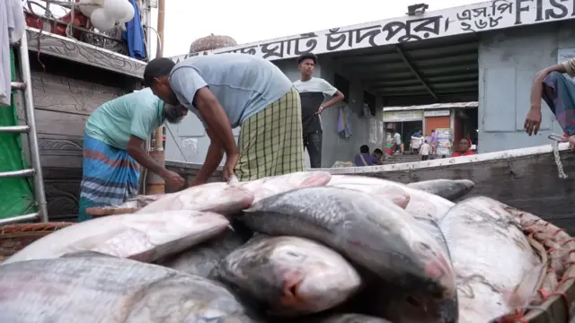 ইলিশ রপ্তানির ঘোষণার পর পরই দাম বেড়েছে 