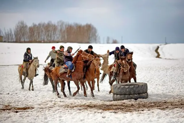 Кыргызстандын аймактарындагы көк бөрү.