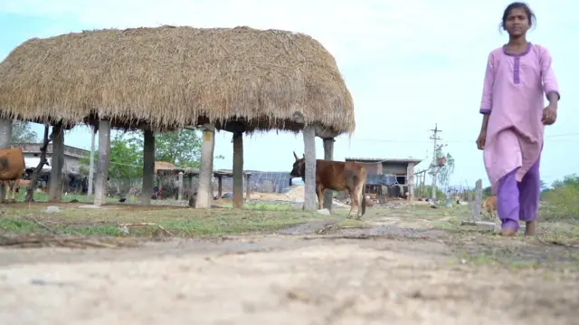 ਵੇਮਨਾ ਇੰਡਲੂ