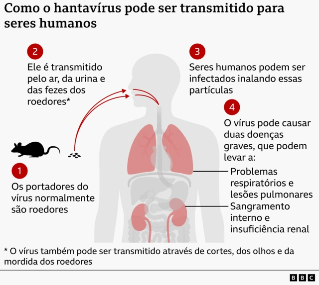 Gráfico mostrando a forma de contaminação de seres humanos com o hantavírus