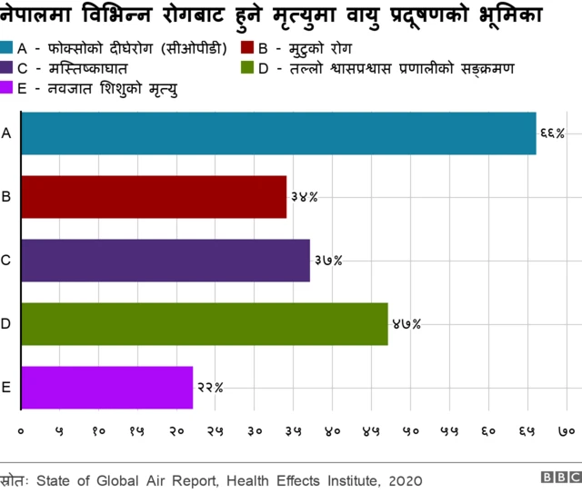 वायु प्रदूषणले गराउने रोग