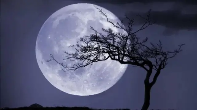 చంద్రుడు, ప్లాట్ల అమ్మకాలు