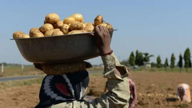 బంగాళదుంపలు