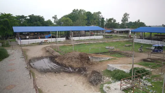 हाट बजार