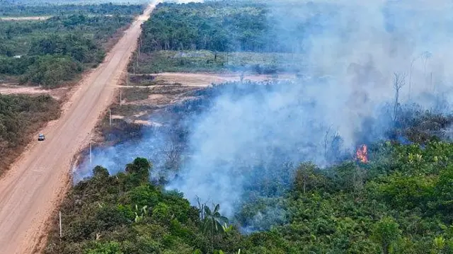 Imagem da BR-319 vistaaposta blaze copacima