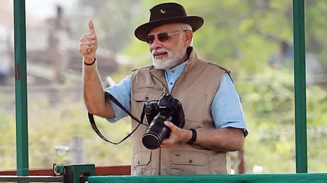 சிவிங்கிப் புலிகள், இந்தியா, ஆப்பிரிக்கா, குனோ 