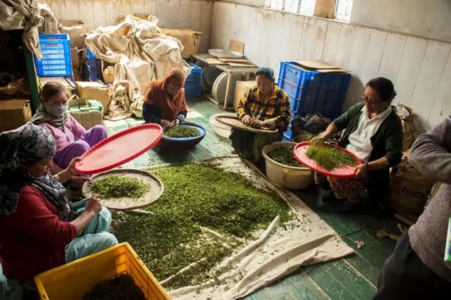 కార్మికులు