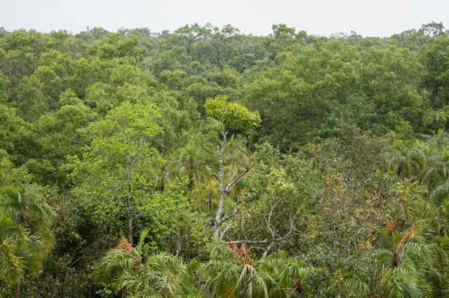 બીબીસી ગુજરાતી