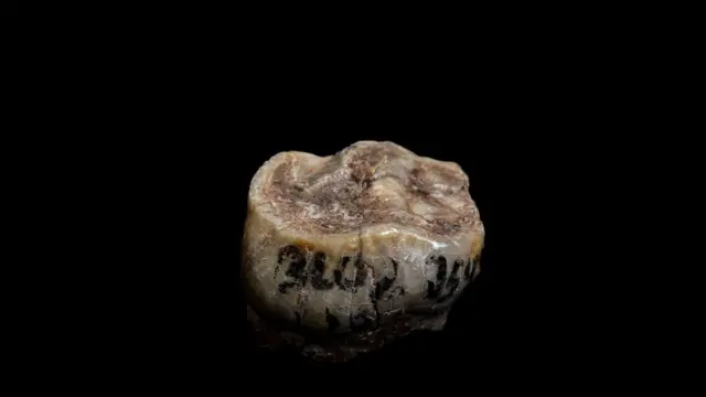 పురావస్తు ఆవిష్కరణలు