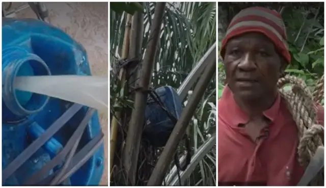 Maazị Ikechukwu bụ diochi na-akụ mmanya ngwọ.