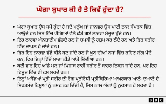 ਘੋਗਾ ਬੁਖਾਰ ਕੀ ਹੈ ਤੇ ਕਿਵੇਂ ਹੁੰਦਾ ਹੈ?