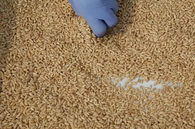 ਕੋਡ ਵਿੱਚ ਝੋਨਾ, ਕਣਕ, ਤੇਲ ਬੀਜਾਂ ਅਤੇ ਦਾਲਾਂ ਵਾਸਤੇ ਫ਼ਸਲ ਮੁਤਾਬਕ ਮਿਆਰ ਤੈਅ ਕੀਤੇ ਜਾਣਗੇ 