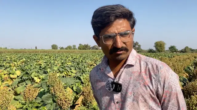 બીબીસી ગુજરાતી સુરેન્દ્રનગર ખેડૂત તમાકુ ખેતી જીરુ ધાણા વાવેતર 