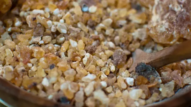 Xabagta dhaqameed waxaa la soo saaraa si taxadar leh, iyadoo si taxaddar leh loosoo goynayo